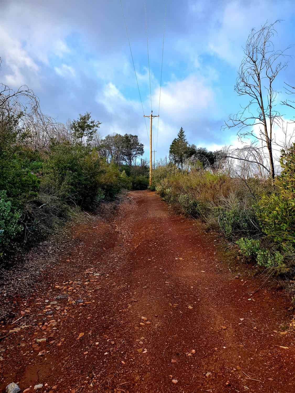 Doster Road, Mountain Ranch, California image 11