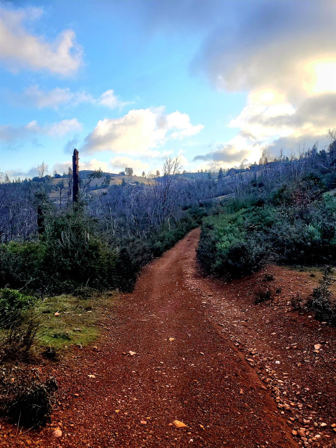 Doster Road, Mountain Ranch, California image 12