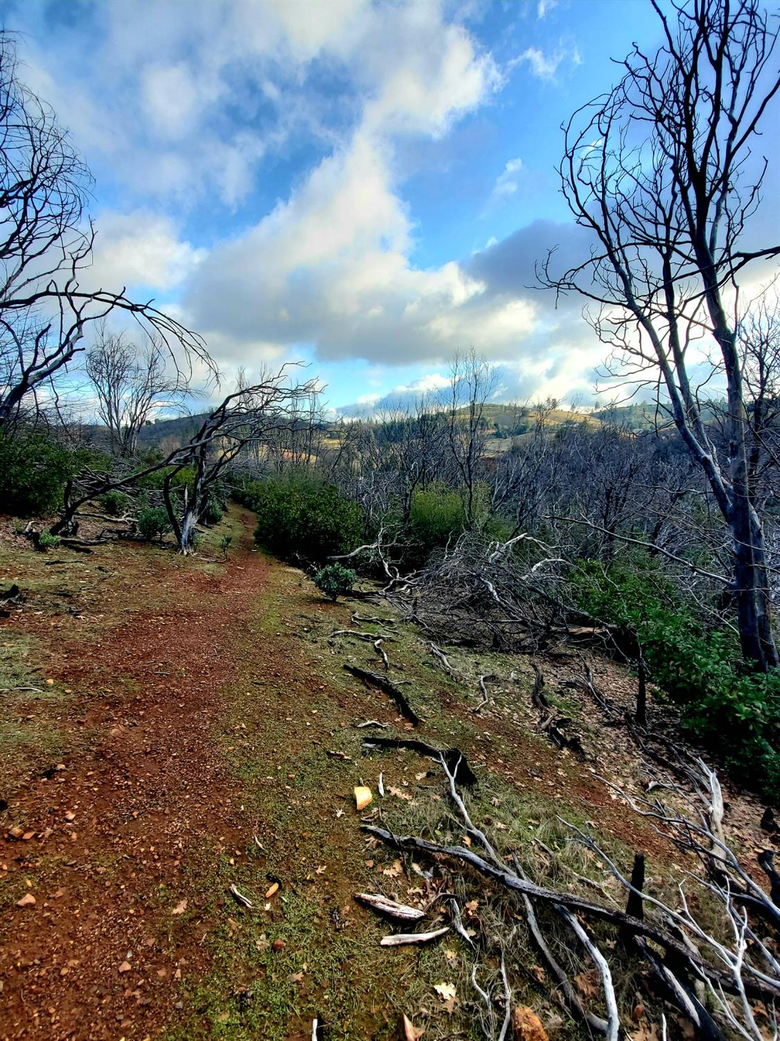 Doster Road, Mountain Ranch, California image 30