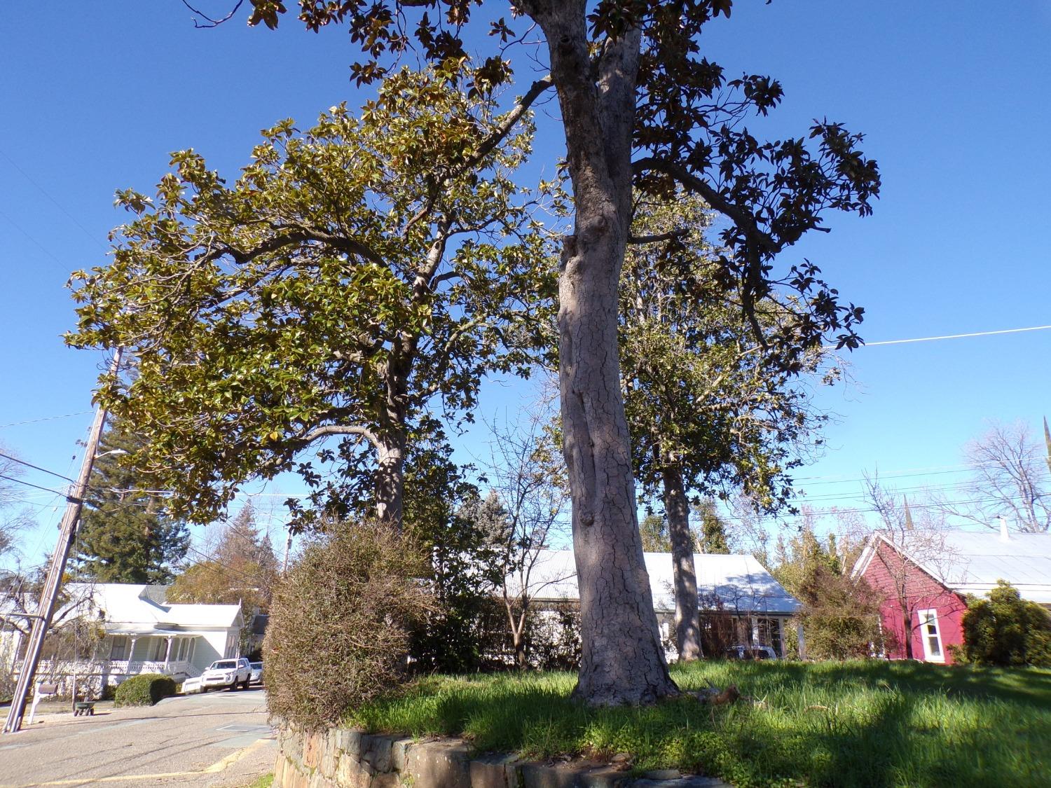 Photo of Spanish St in Sutter Creek, CA