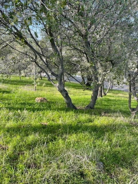 Detail Gallery Image 5 of 5 For 3004 Bow Dr, Copperopolis,  CA 95228 - – Beds | – Baths