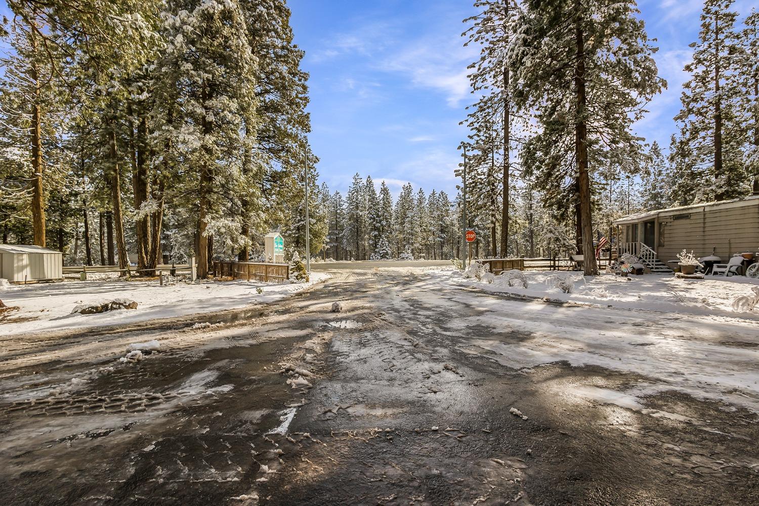 Detail Gallery Image 61 of 61 For 36766 Hwy 299 East 58, Burney,  CA 96013 - 3 Beds | 2 Baths