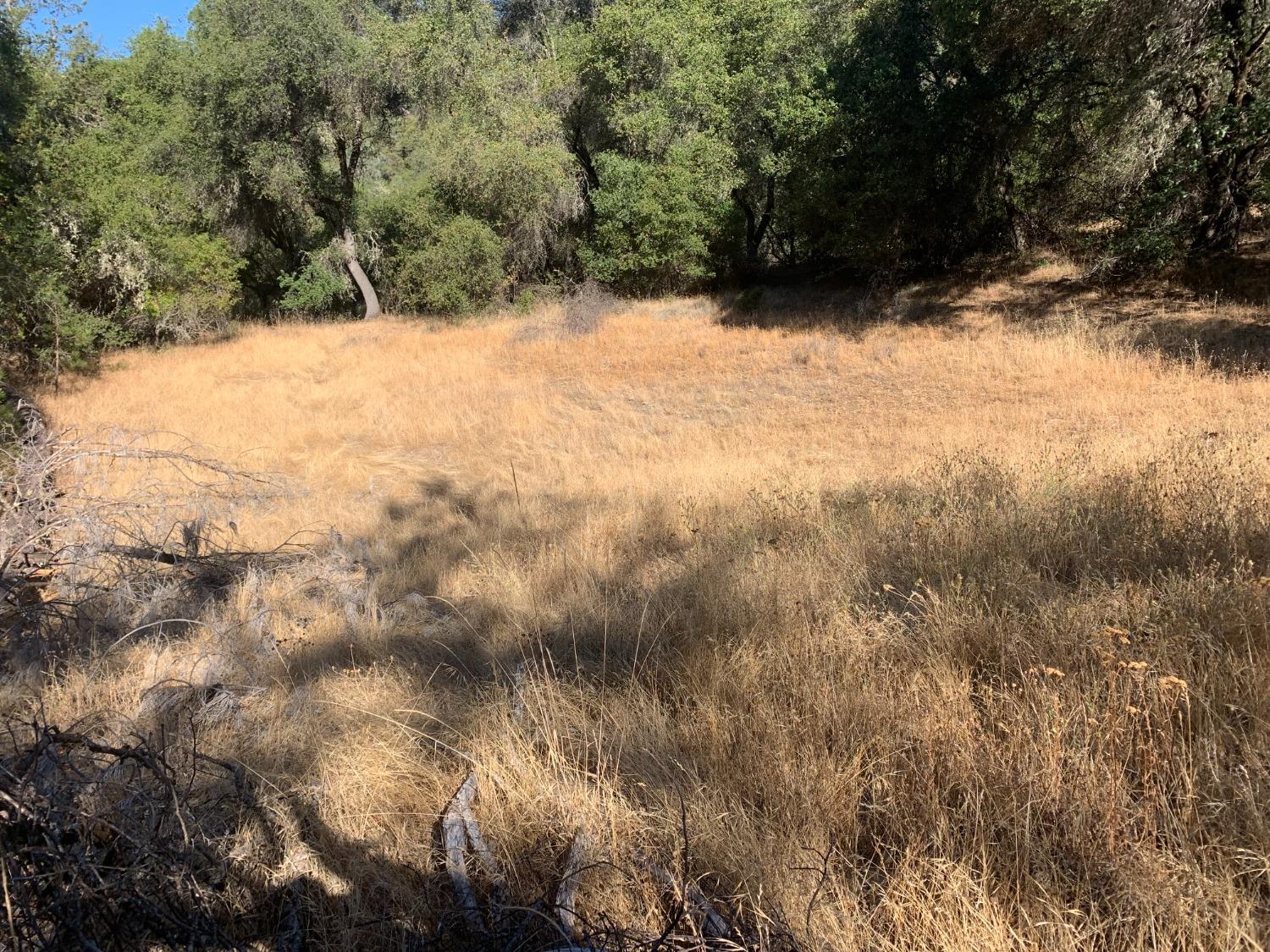 Photo of 7101 Morning Canyon Rd in Placerville, CA