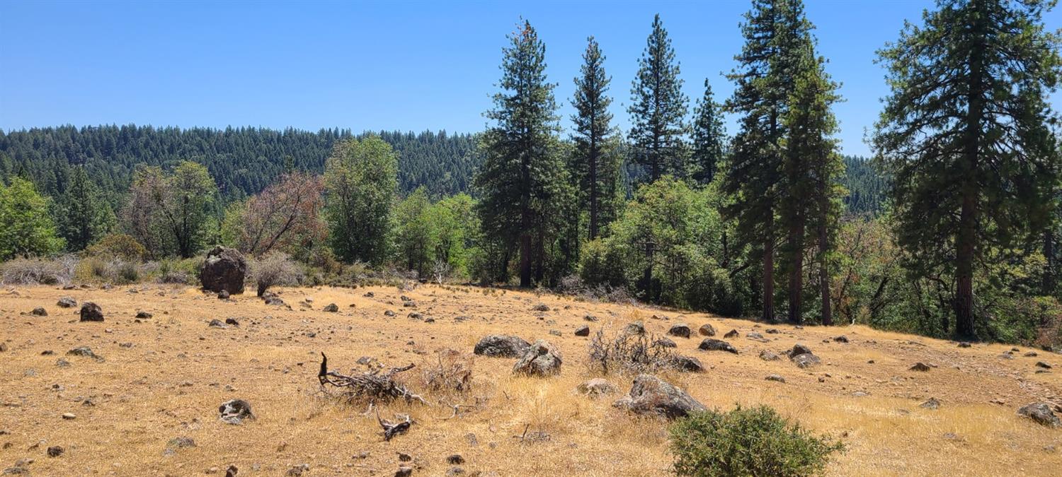 Canchalagua, Pollock Pines, California image 10