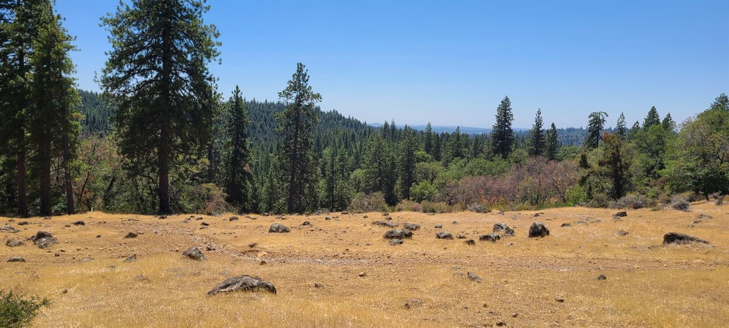 Canchalagua, Pollock Pines, California image 8