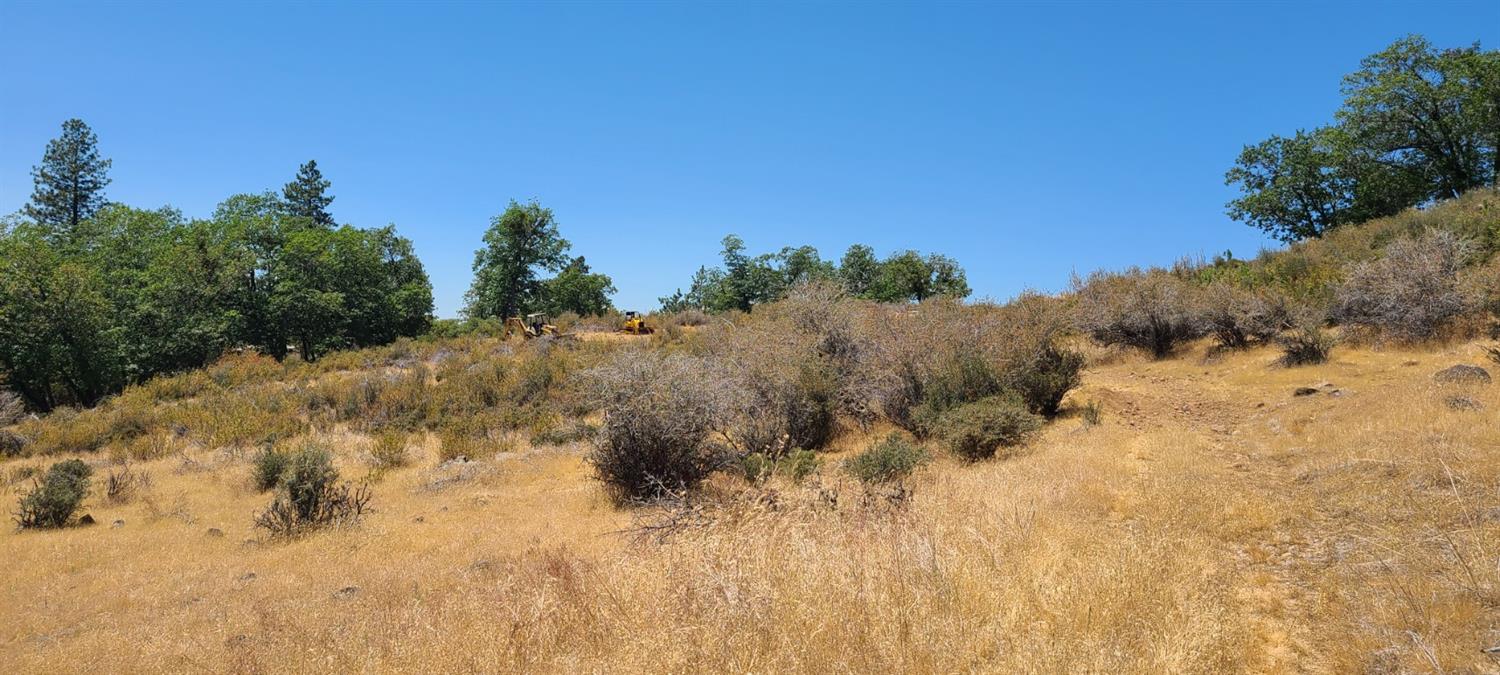 Canchalagua, Pollock Pines, California image 3