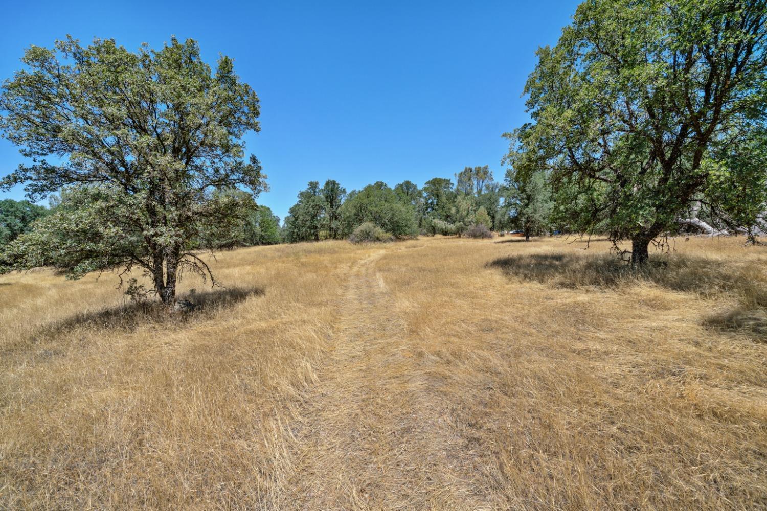 Photo of 15752 State Hwy 49 in Grass Valley, CA