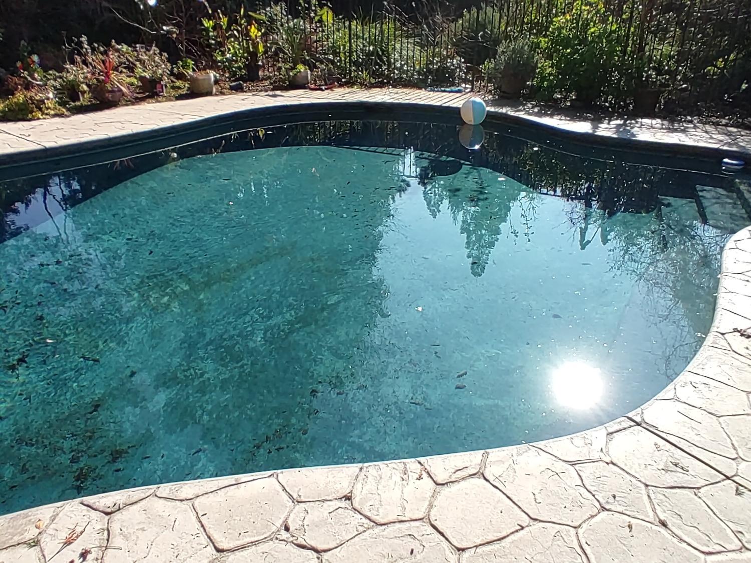 Detail Gallery Image 5 of 5 For 9902 Laron Ct, Stockton,  CA 95212 - 6 Beds | 3/1 Baths