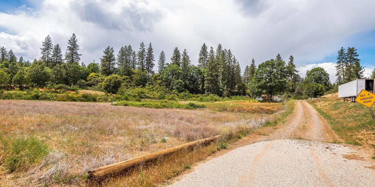 Whitcomb Avenue, Colfax, California image 8