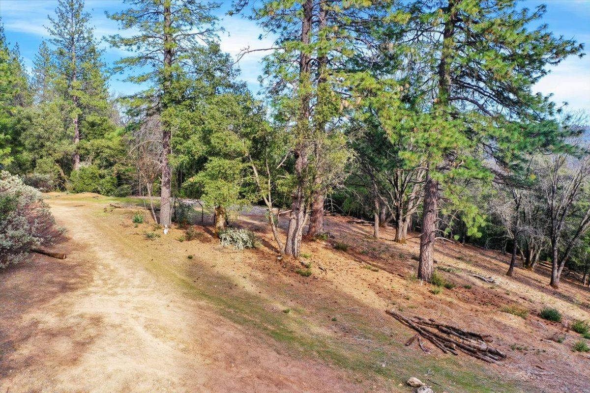 Photo of 16856 Red Dog Rd in Nevada City, CA
