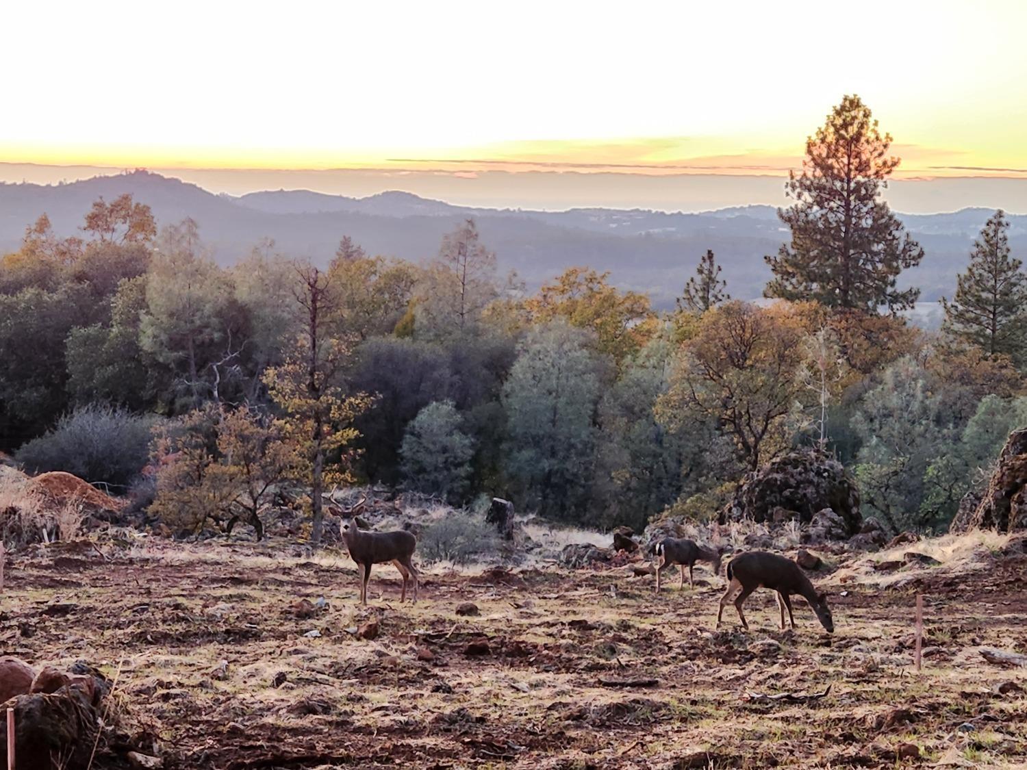 Rodeo Flat Road, Auburn, California image 14