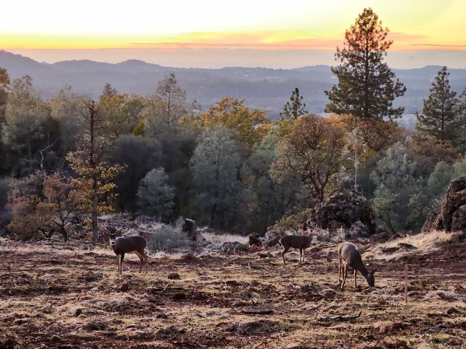 Rodeo Flat Road, Auburn, California image 17