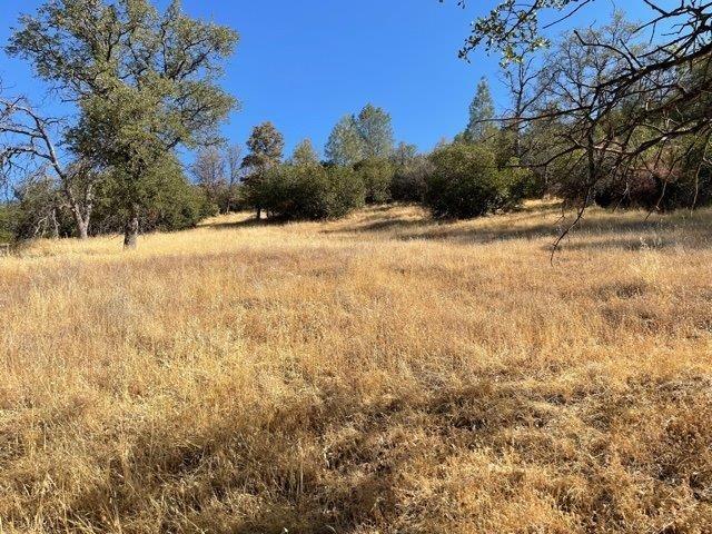 Photo of 13044 Kanaka Dr in Jamestown, CA