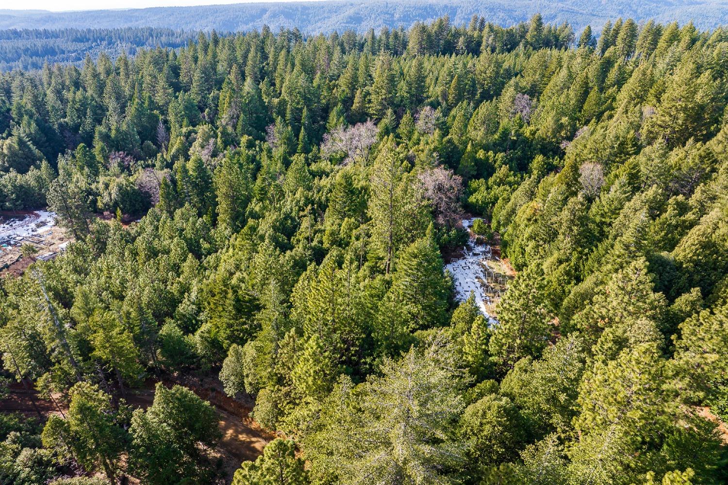 Photo of Lovelock Rd in Magalia, CA
