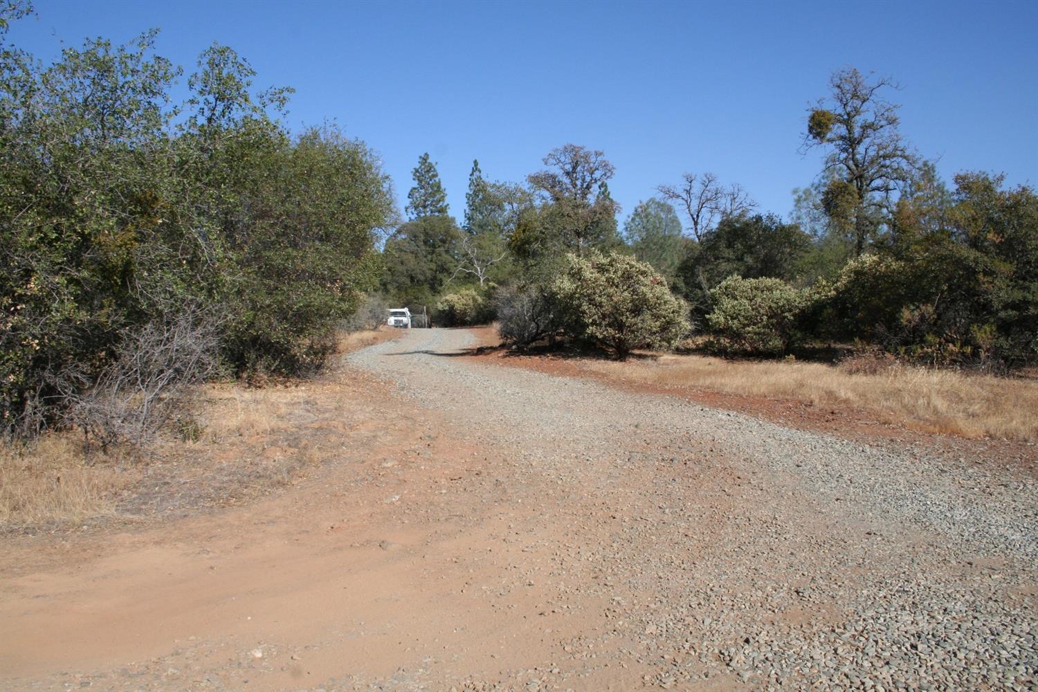 Bonanza Way, Rough and Ready, California image 5