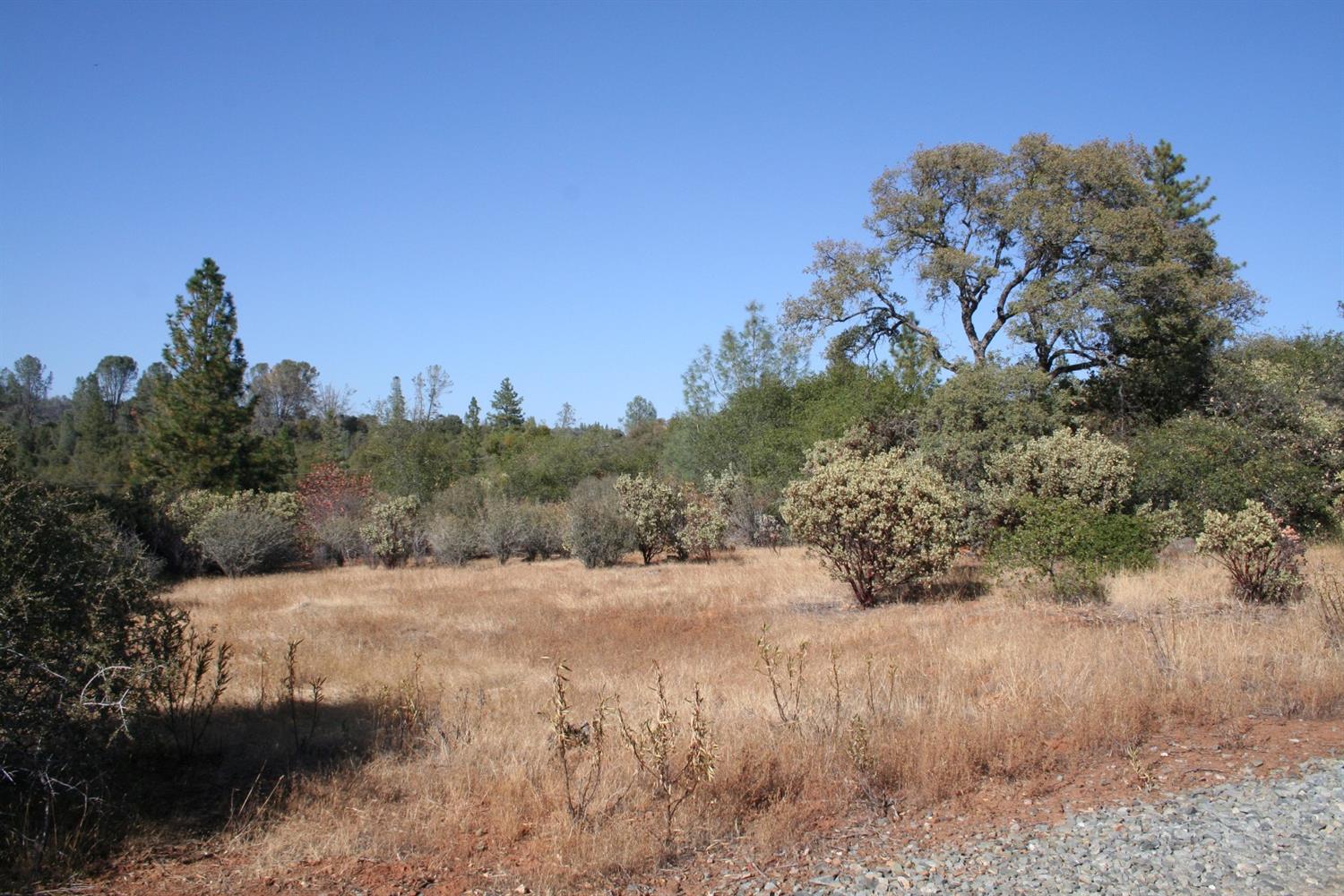 Bonanza Way, Rough and Ready, California image 3