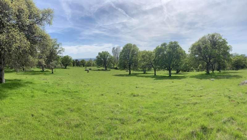Photo of Vista Bella in Auburn, CA