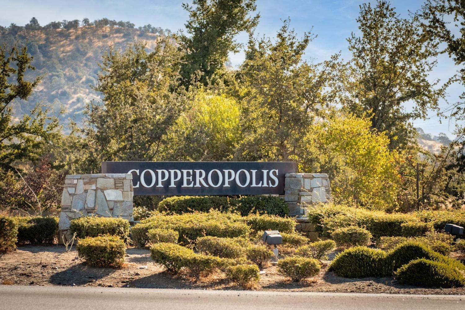 Detail Gallery Image 51 of 53 For 1013 Knolls Dr, Copperopolis,  CA 95228 - – Beds | – Baths
