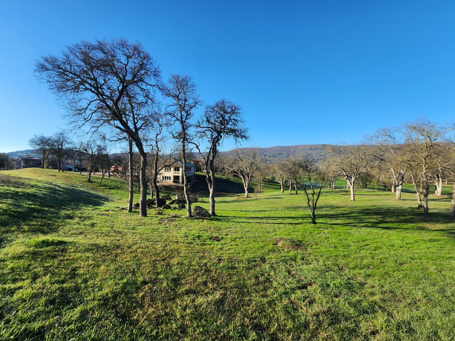 Detail Gallery Image 4 of 53 For 1013 Knolls Dr, Copperopolis,  CA 95228 - – Beds | – Baths