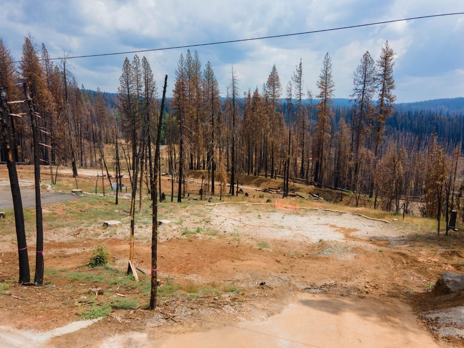 Photo of 7223 Capps Crossing Rd in Grizzly Flats, CA