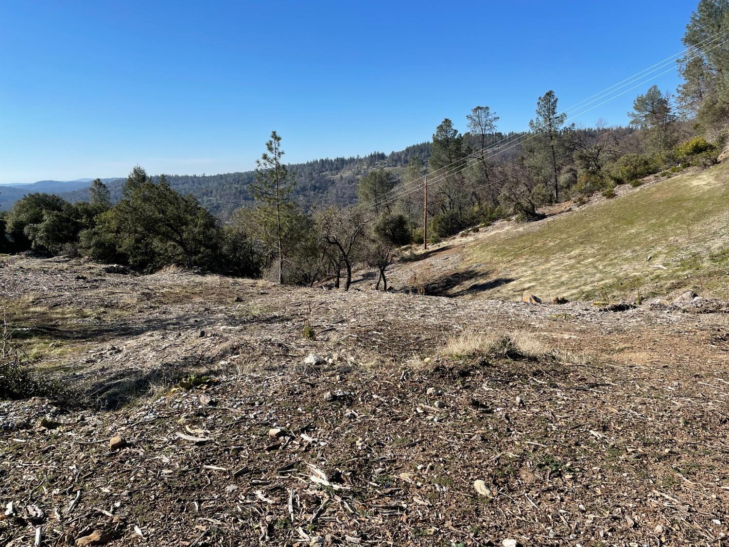Photo of Espina Loma in Camino, CA