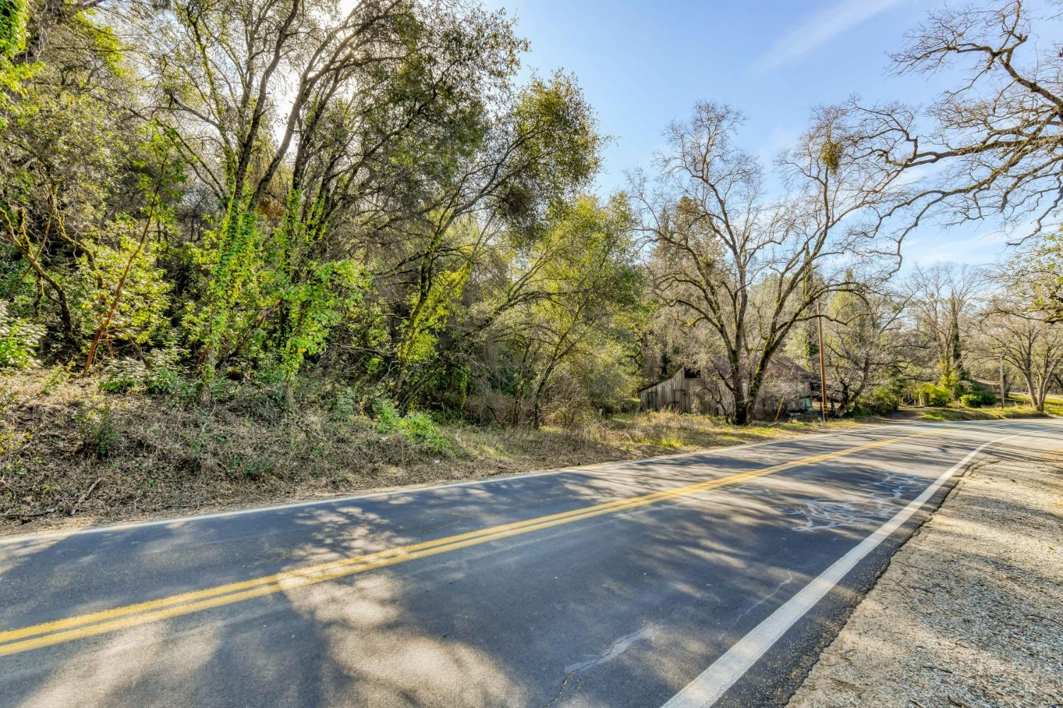 Climax Road, Jackson, California image 9