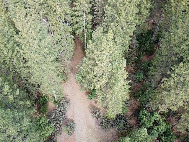 Photo of 18064 Wetmore Wy in Oroville, CA