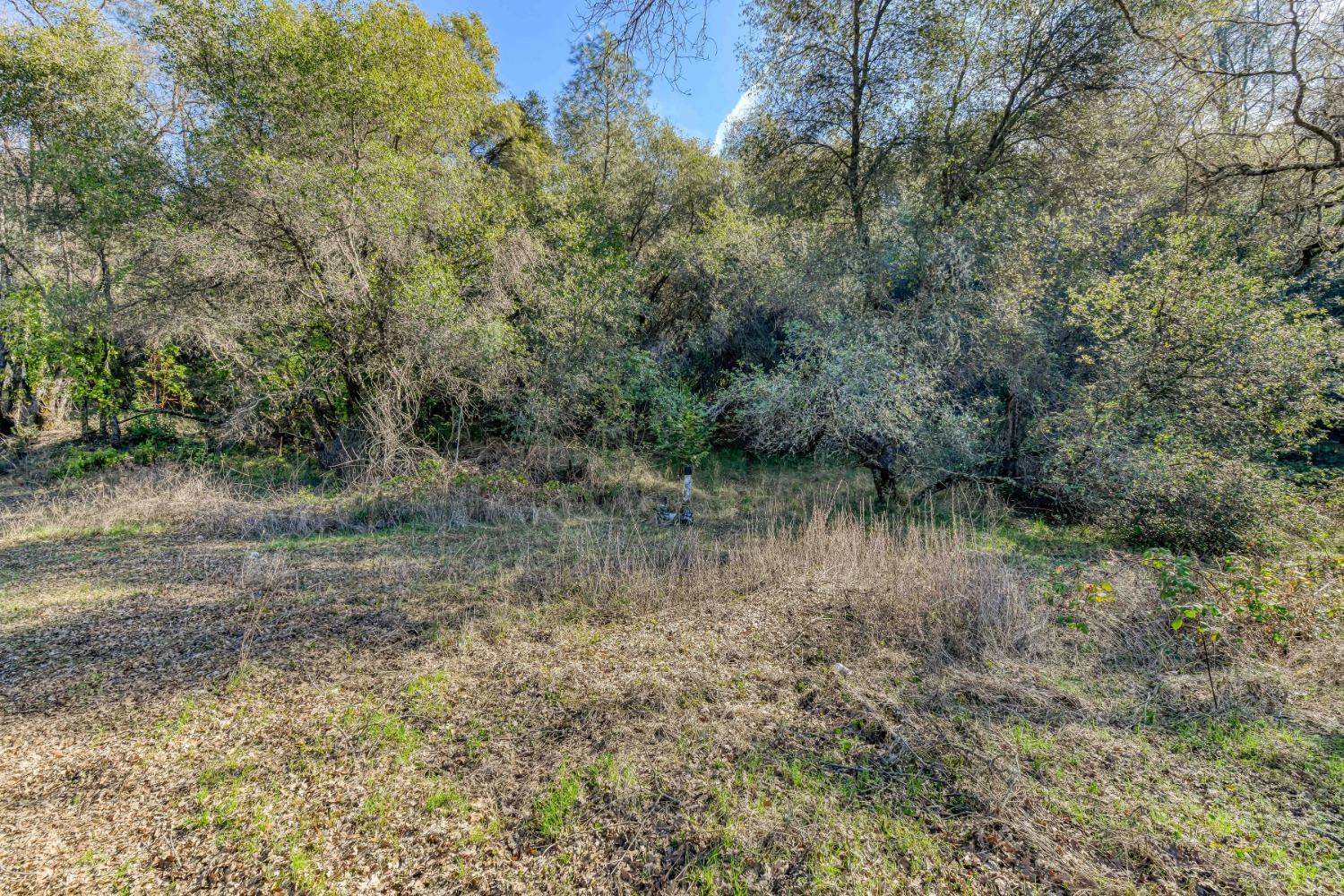 Climax Road, Jackson, California image 1