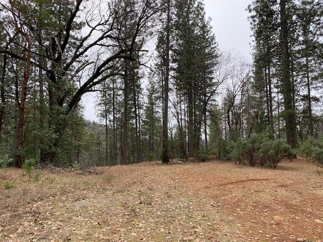 Photo of 18110 Wetmore Wy in Oroville, CA