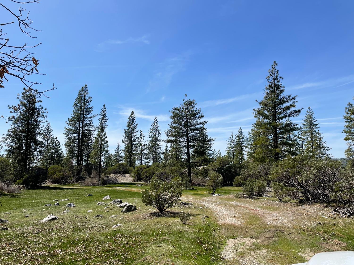 Detail Gallery Image 5 of 12 For 20710 Chalk Bluff Rd, Grass Valley,  CA 95945 - – Beds | – Baths