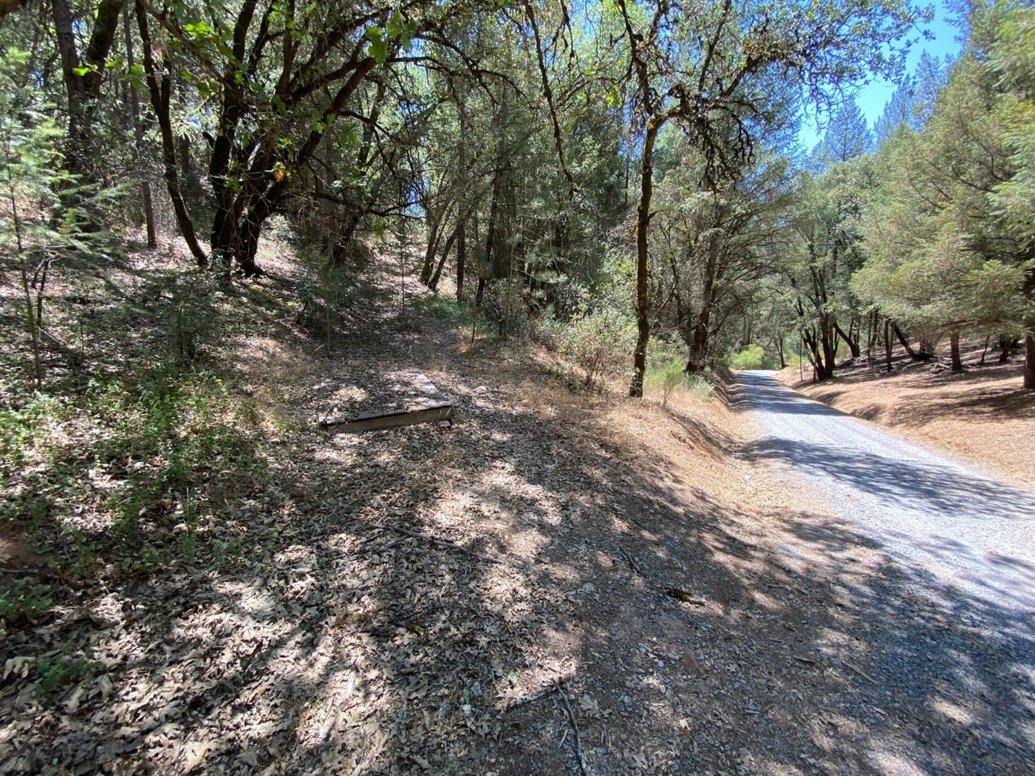 Greenwood Road, Greenwood, California image 9