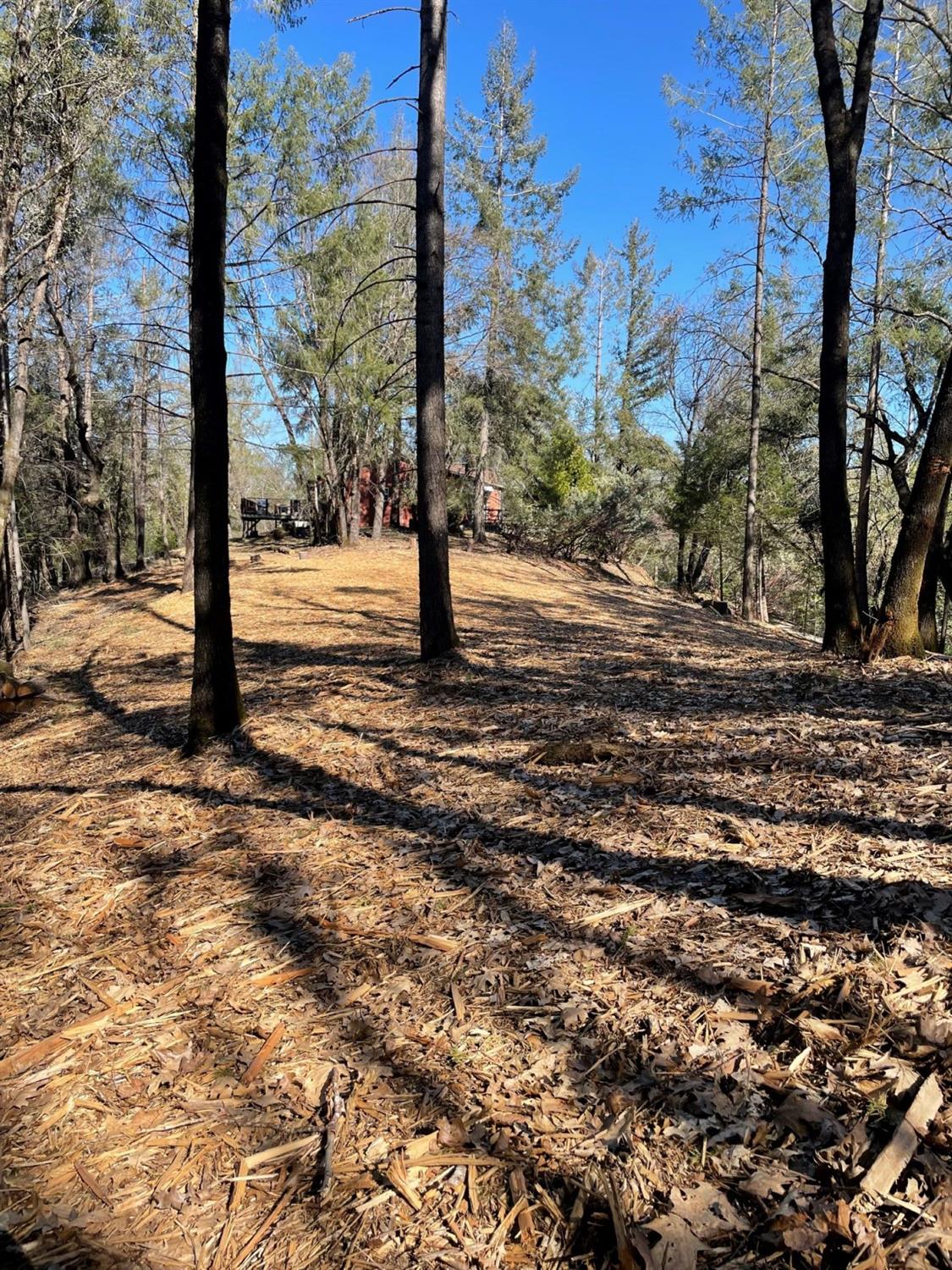 Photo of 0 Porcupine Rdg in Colfax, CA