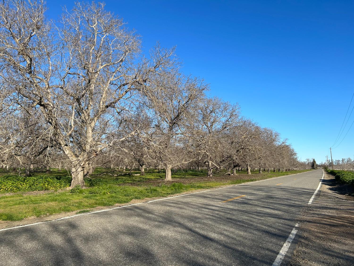 River Road, Colusa, California image 6