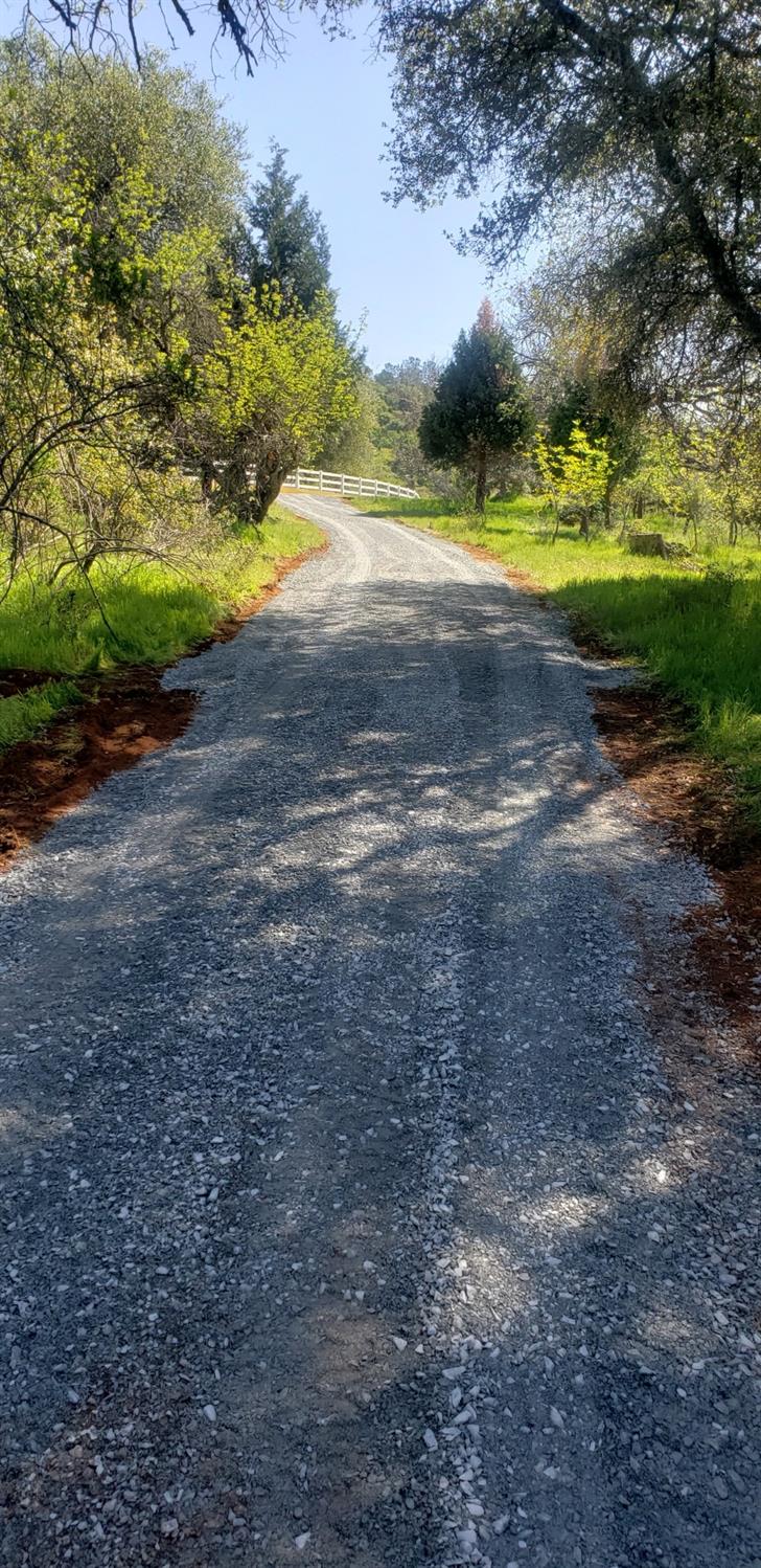 Tiger Lily Road, Pilot Hill, California image 3