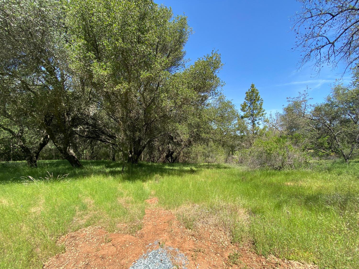 Tiger Lily Road, Pilot Hill, California image 8