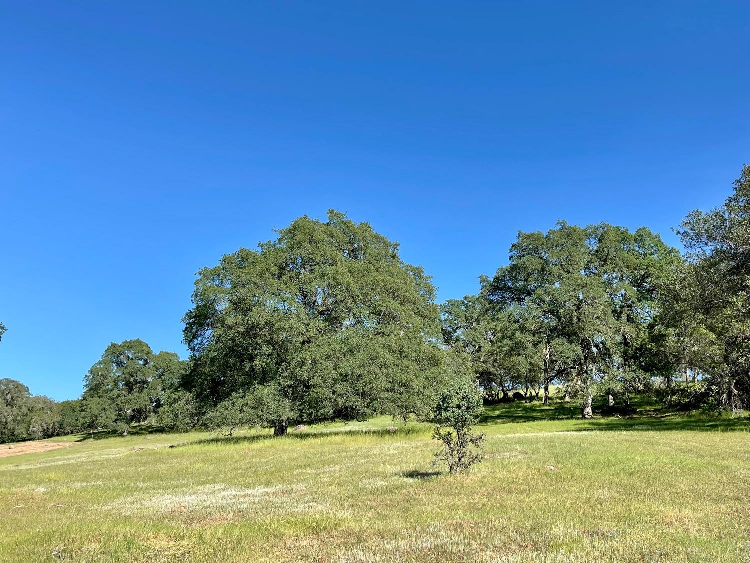 Photo of 1725 Camino Verdera in Lincoln, CA