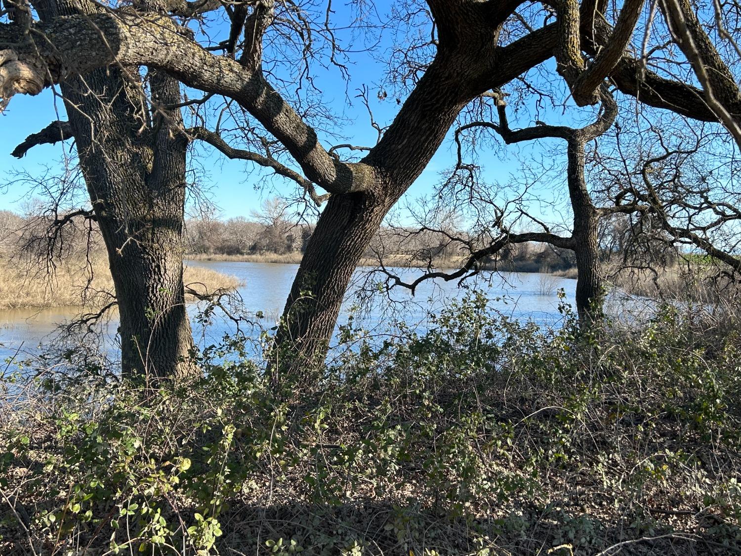 River Road, Colusa, California image 8