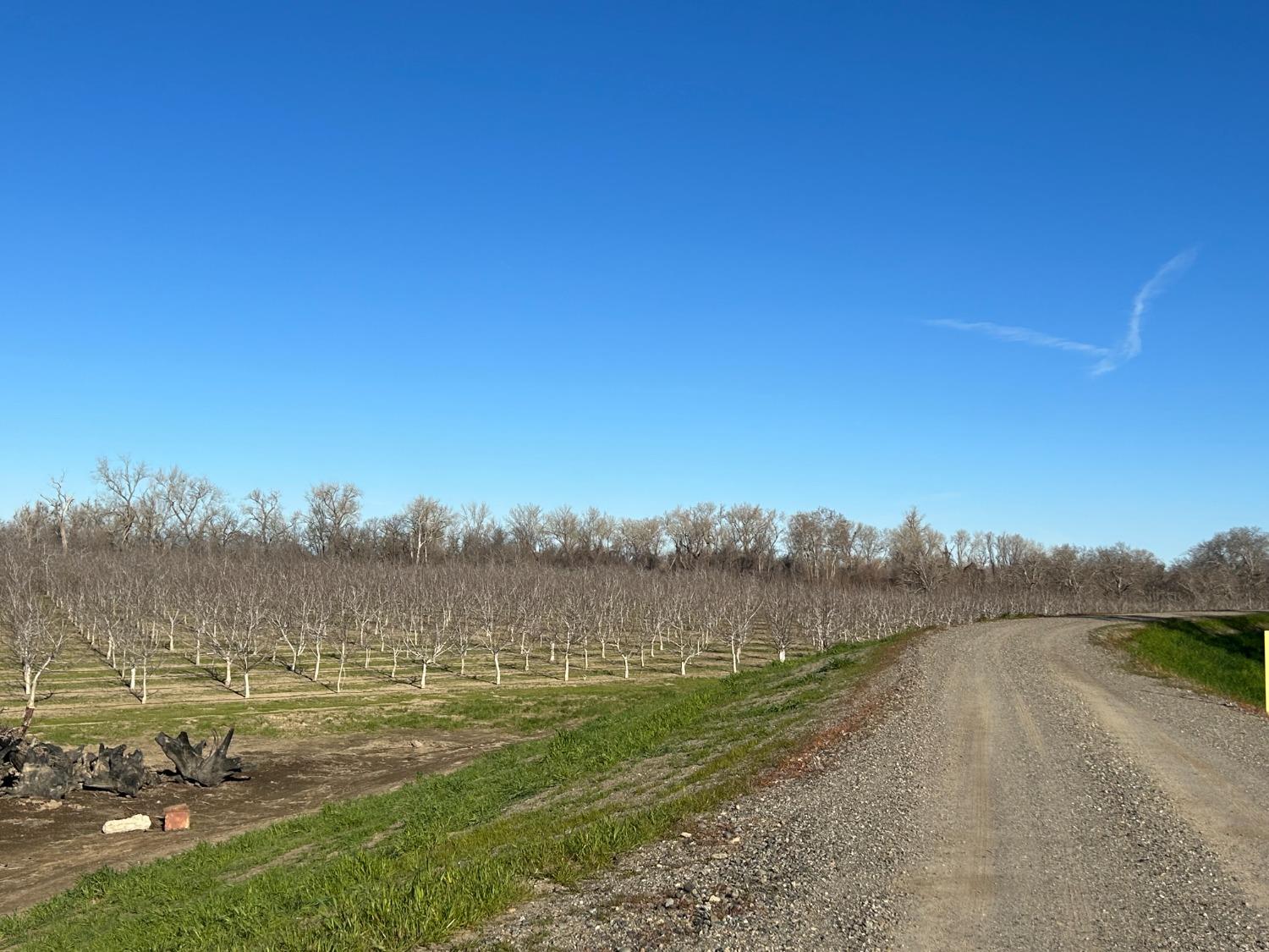 River Road, Colusa, California image 3