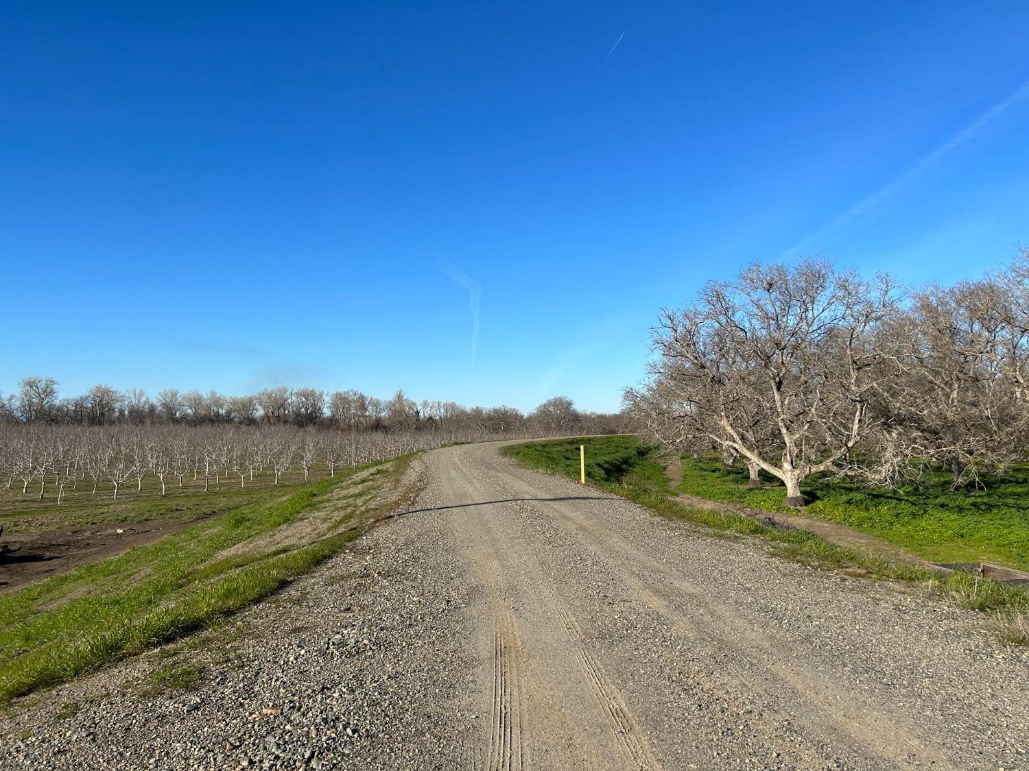 River Road, Colusa, California image 5