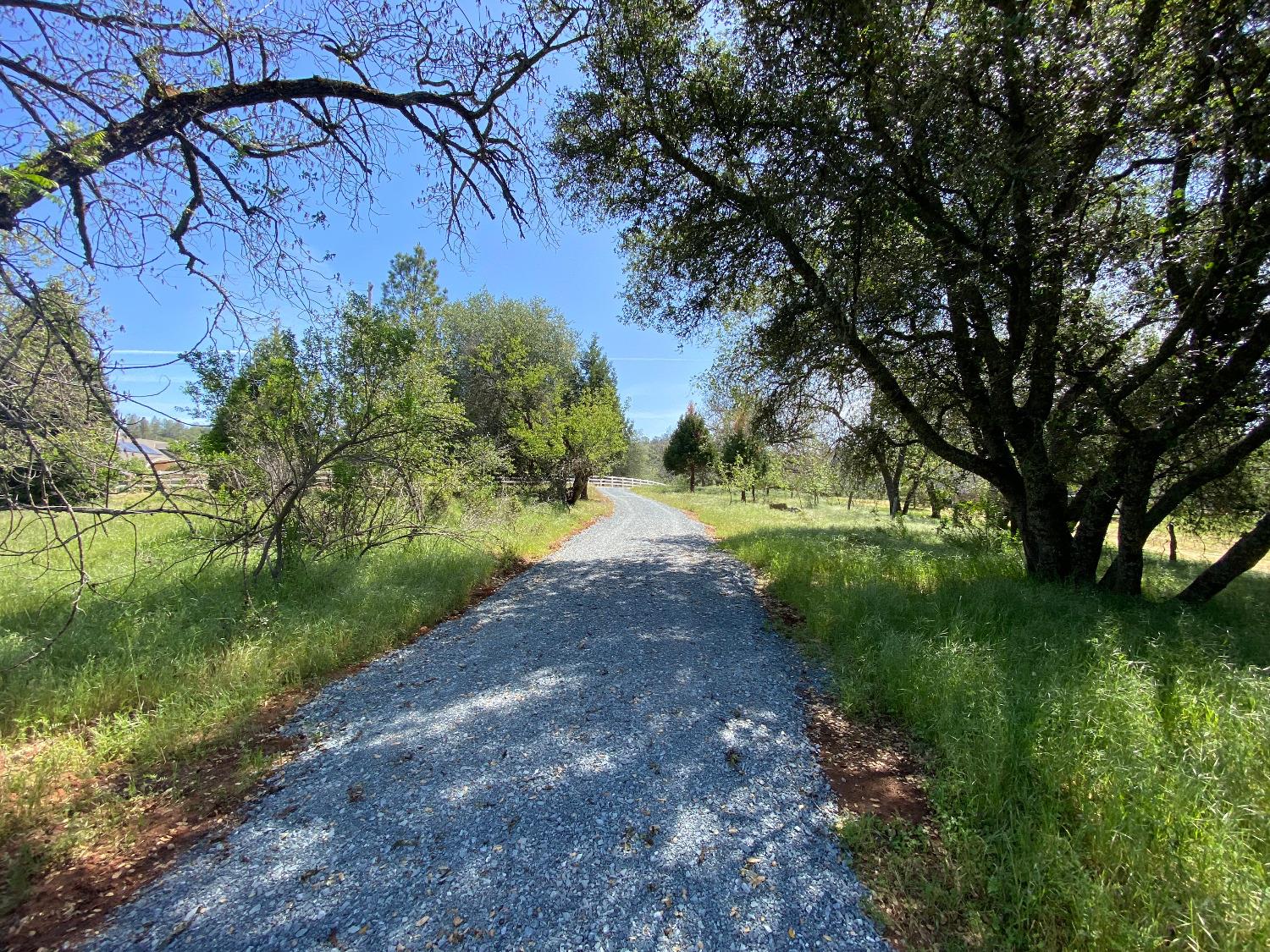 Tiger Lily Road, Pilot Hill, California image 5