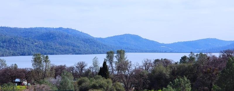 Collins Lake