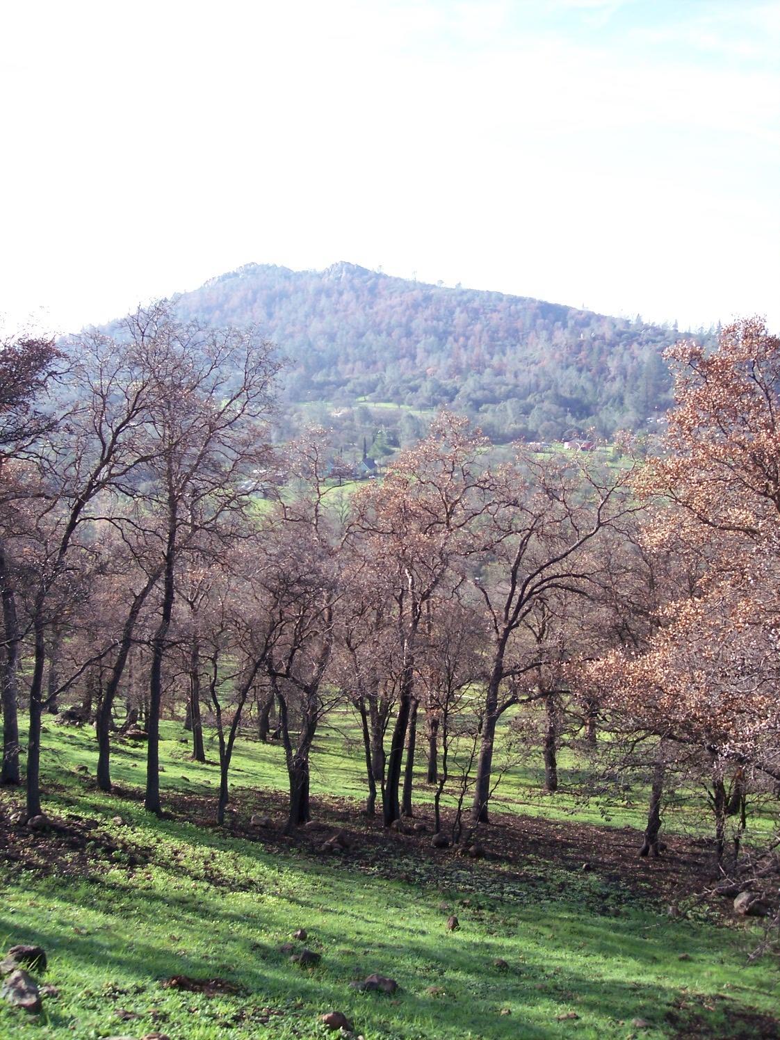 Fargo Way, Browns Valley, California image 3