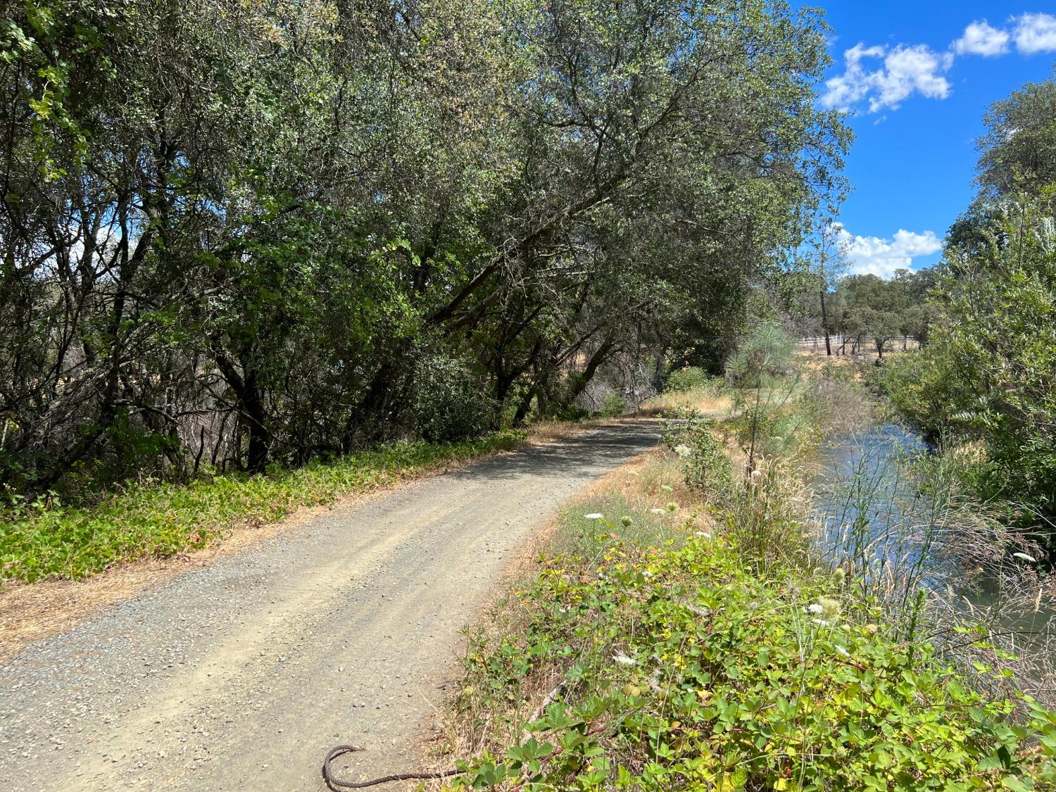 Fargo Way, Browns Valley, California image 4