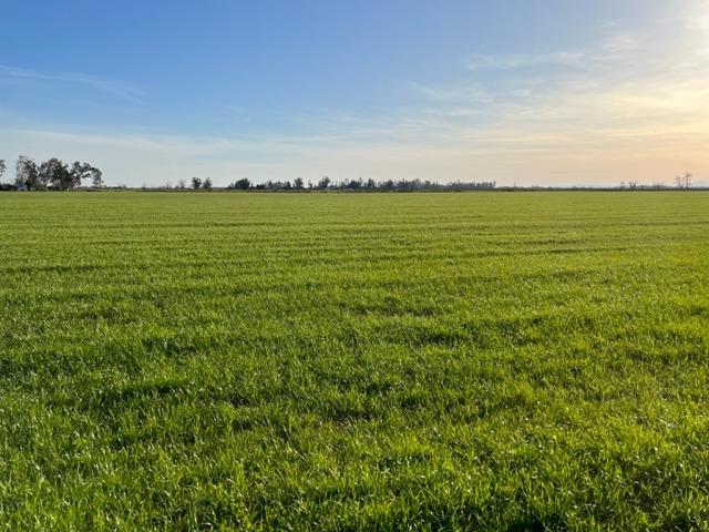 Photo of 12900-lot50 West Ln in Herald, CA