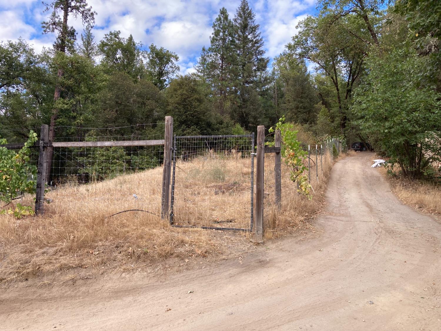 Schellman River Road, Camptonville, California image 9