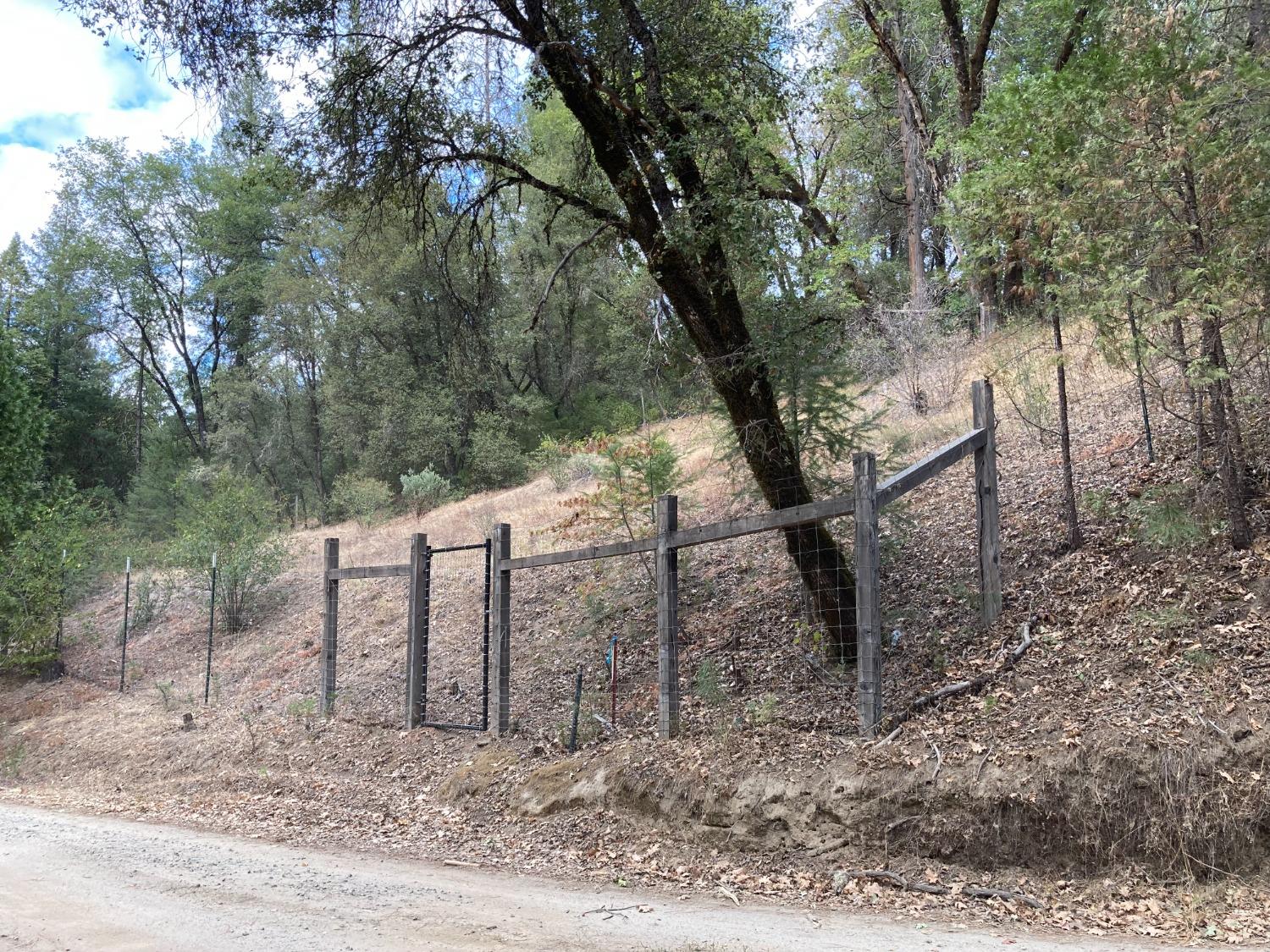 Schellman River Road, Camptonville, California image 10