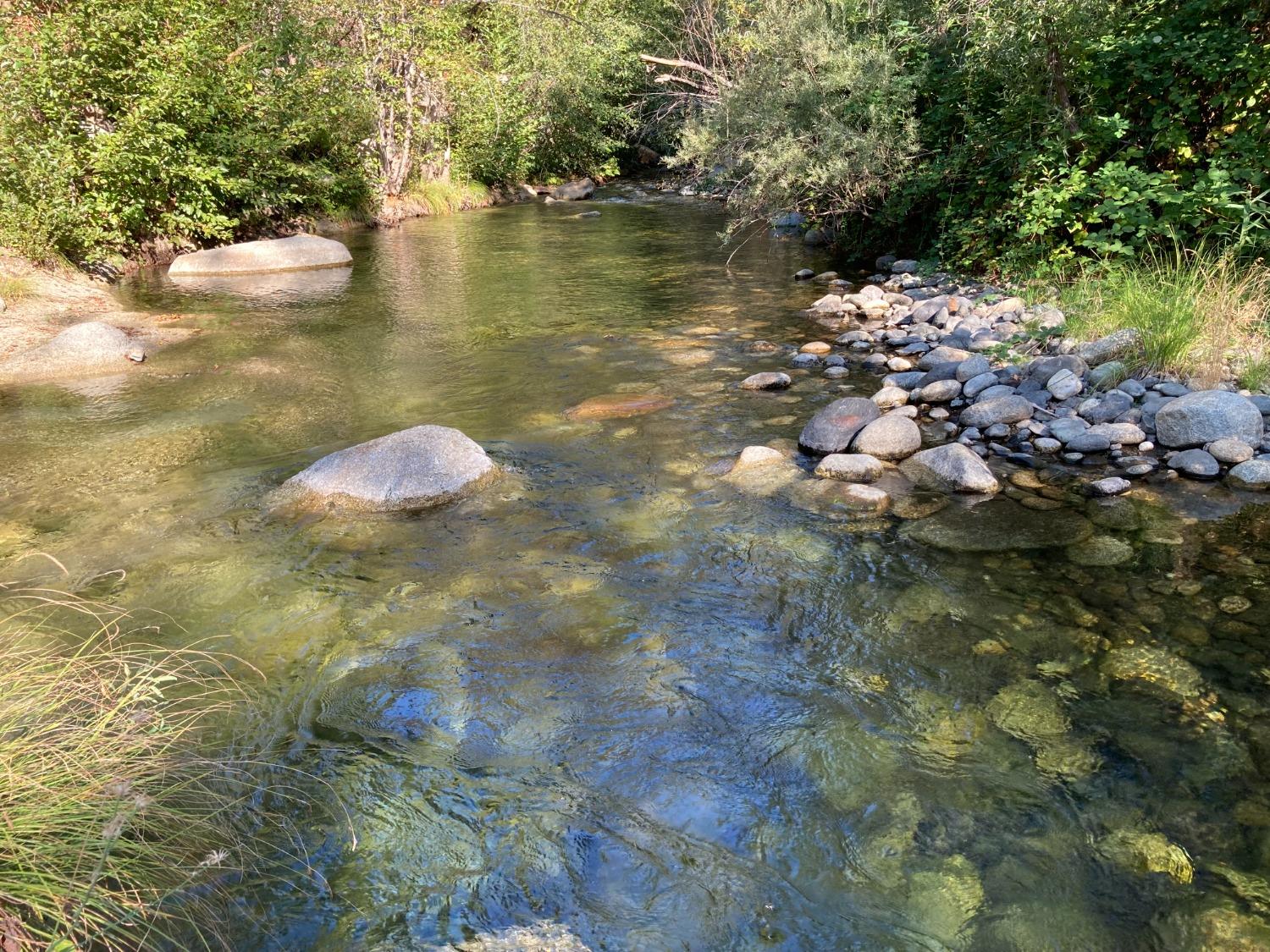 Schellman River Road, Camptonville, California image 3