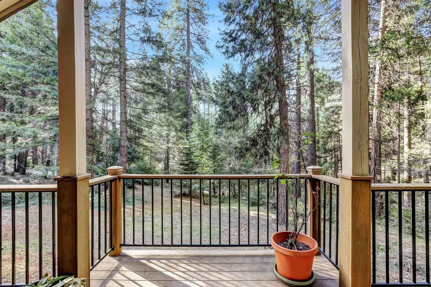 Detail Gallery Image 78 of 81 For 12482 Clipper Creek Rd, Nevada City,  CA 95959 - 3 Beds | 2 Baths