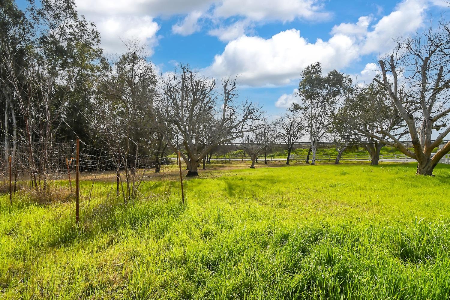 State Highway 20, Colusa, California image 22