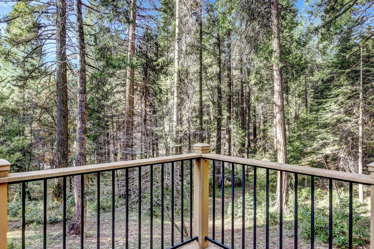 Detail Gallery Image 77 of 81 For 12482 Clipper Creek Rd, Nevada City,  CA 95959 - 3 Beds | 2 Baths